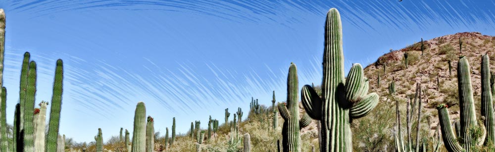 Arizona