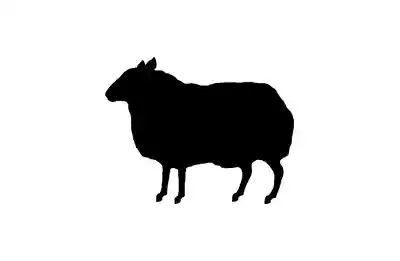 BBH USA Logo