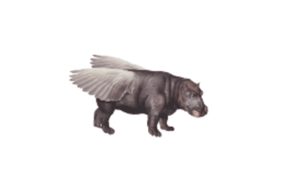Flying Hippo Brand + Digital Logo