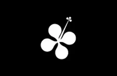 Appaloosa Marketing Logo