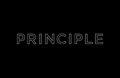 Principle | Design & Branding Logo