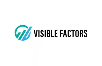 Visible Factors Logo
