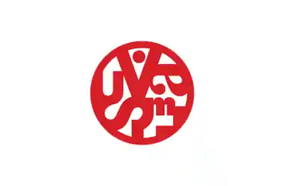 Visual Asylum Logo