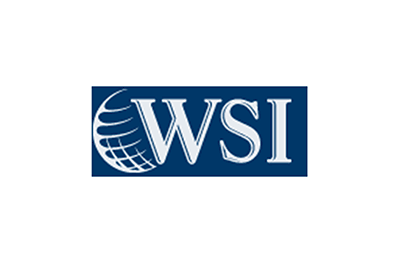 WSI Net Advantage Logo