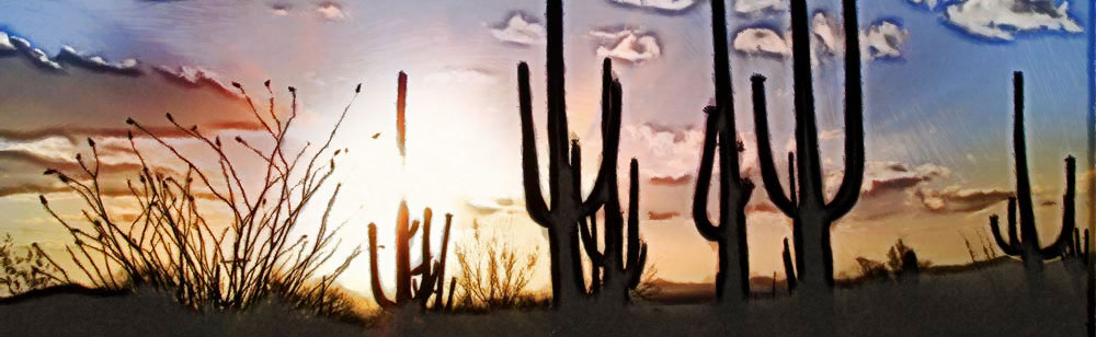 SEO in Arizona