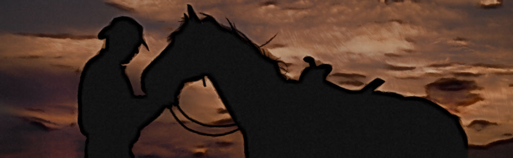 Best SEO Companies in Texas