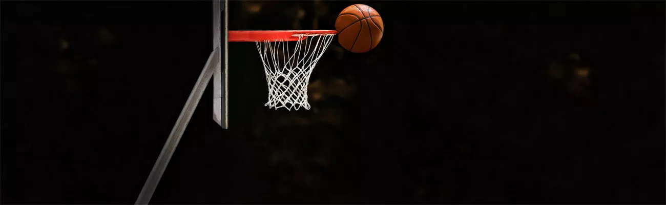 Bounce Rates in SEO